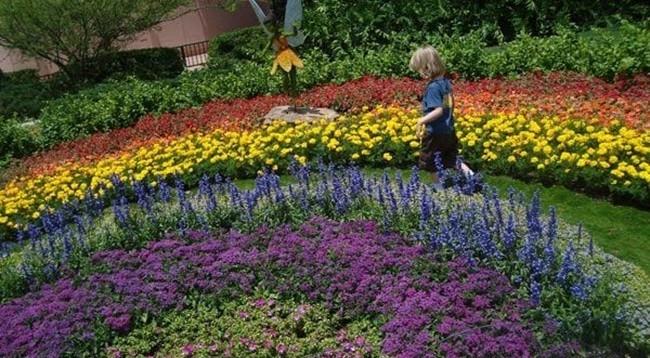 Planting the Color Wheel Part 1: The Rainbow Garden (Kid-friendly)!