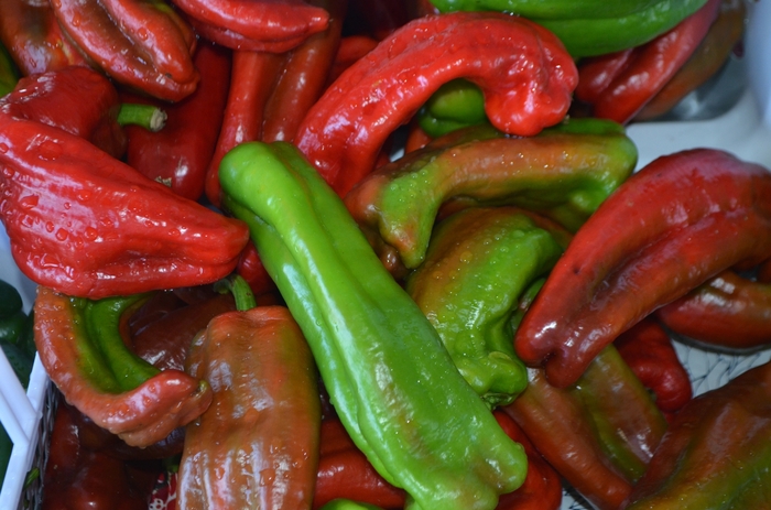Pepper, Sweet Bell - Capsicum annuum 'Marconi Red' 