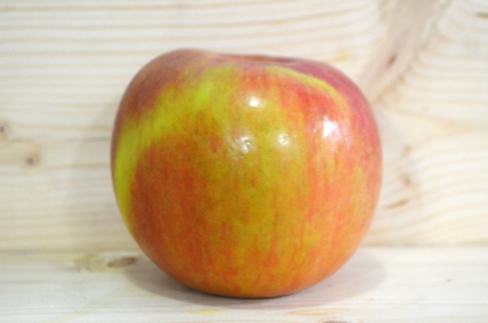 'Fuji' Apple - Malus domestica