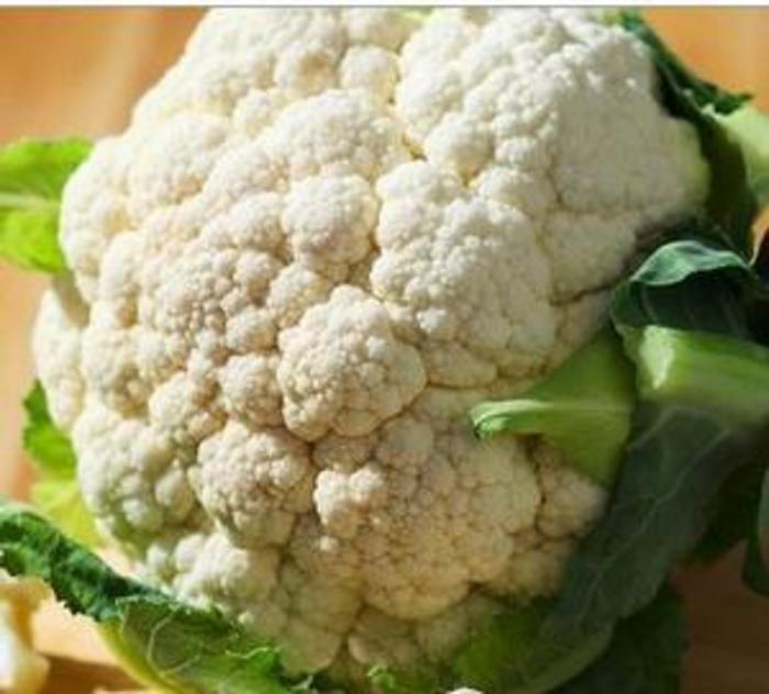 Cauliflower - Brassica oleracea var. botrytis 'White Snowball'