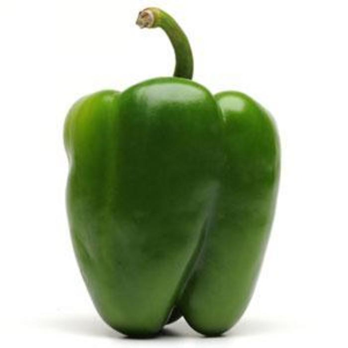 Capsicum annuum 'Better Belle' Pepper Ebert's Greenhouse