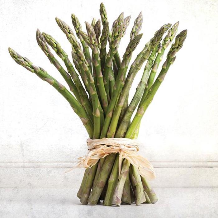 Asparagus - Asparagus officinalis 'Jersey Supreme' Asparagus - Asparagus officinalis 'Jersey Supreme'