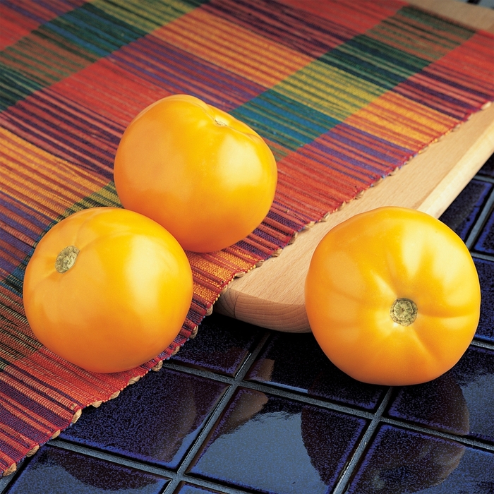 Tomato - Lycopersicon esculentum 'Carolina Gold' Yellow 