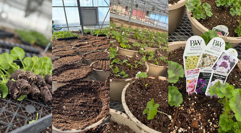 The Westbrook Comes Alive: Spring's First Month at Ebert's