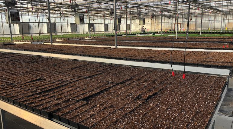 It's March Madness Here… and We're Not Talking about Basketball!