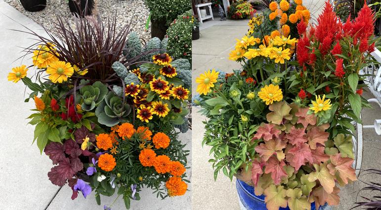 Seven Tips for Creating a Beautiful Fall Container