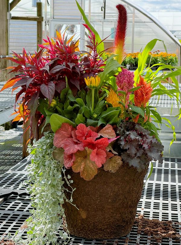 Fall Container Workshops (5 sessions available)