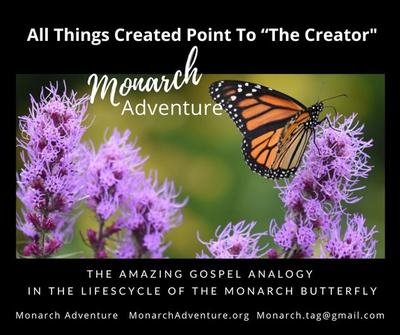 Monarch Adventure at Ebert's Greenhouse Village