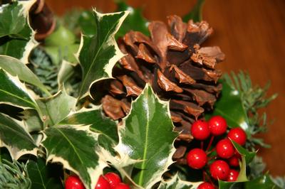Christmas Forest Fairy Garden: Kid's Craft Project