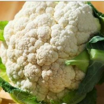 Brassica oleracea var. botrytis 'White Snowball' - Cauliflower