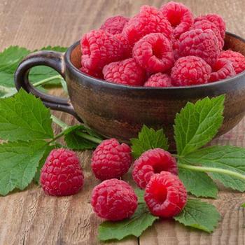 Rubus 'Red Boyne' - Raspberry 