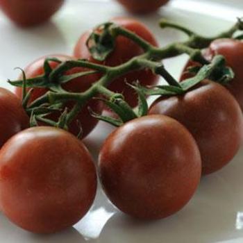 Lycopersicon esculentum 'Black Cherry' - Tomato