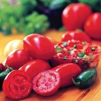 Solanum lycopersicum 'Fresh Salsa' - Tomato