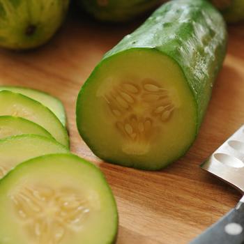 Cucumber sativus 'Gold Standard' - Cucumber