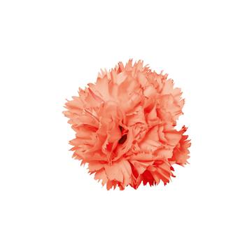 Dianthus - Vivacia™ Orange