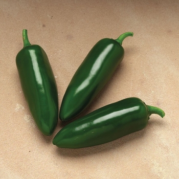 Pepper, Hot