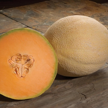 Melon Melon