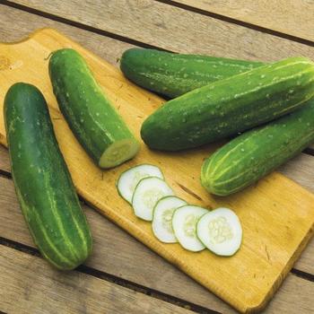 Cucumber Cucumber