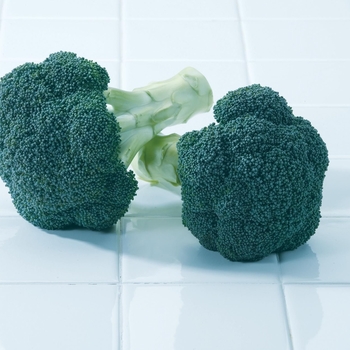 Broccoli