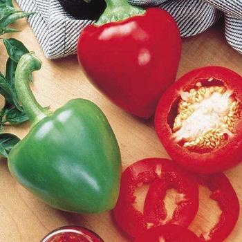 Pepper, Sweet Bell Pepper, Sweet Bell