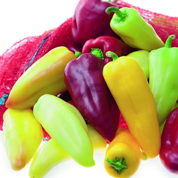Pepper, Sweet Bell Pepper, Sweet Bell