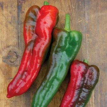 Pepper, Sweet Bell Pepper, Sweet Bell