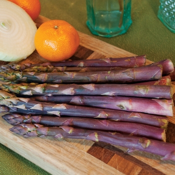 Asparagus Asparagus